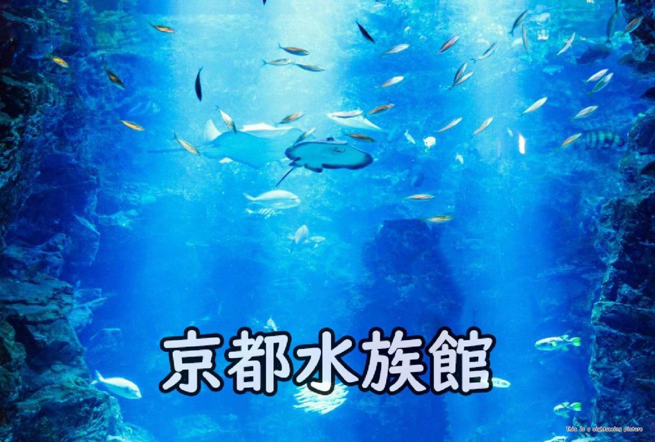 公寓式酒店 Sakura 丹波口